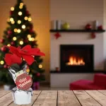 GTIN-6945926382950-02