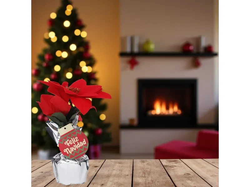 GTIN-6945926382950-02