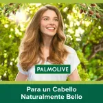 GTIN-7509546077086-08