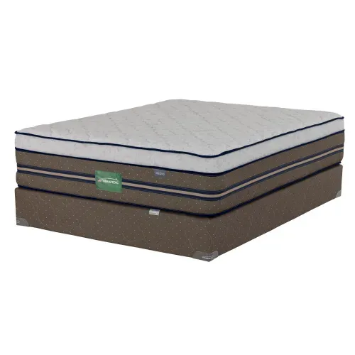 Cama Queen Therapedic EE  Confort Medio