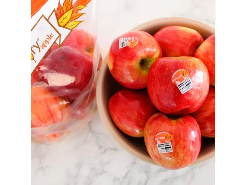 GTIN-0883391003078-04