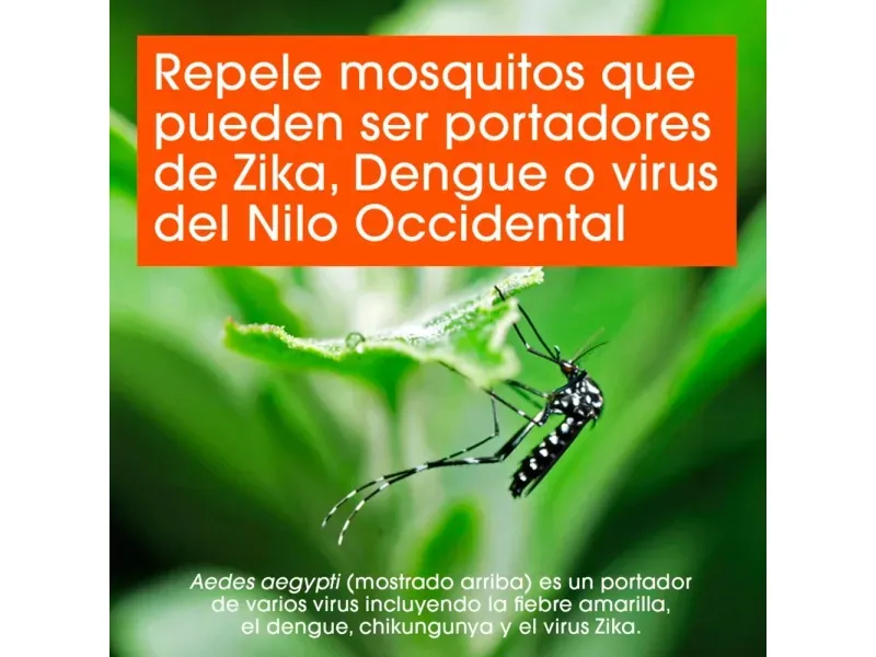 GTIN-7501032911454-07