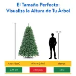 GTIN-0685024466416-02