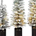 GTIN-0685024475784-03