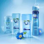 GTIN-7500435241465-10