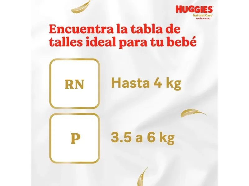 2025-11-19T20:19:08.338Z