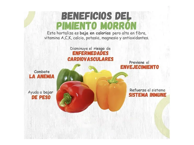 GTIN-0608312000192-04