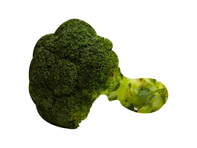 GTIN-0000000075701-02