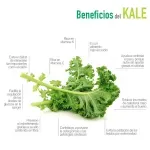 GTIN-7424676000073-03