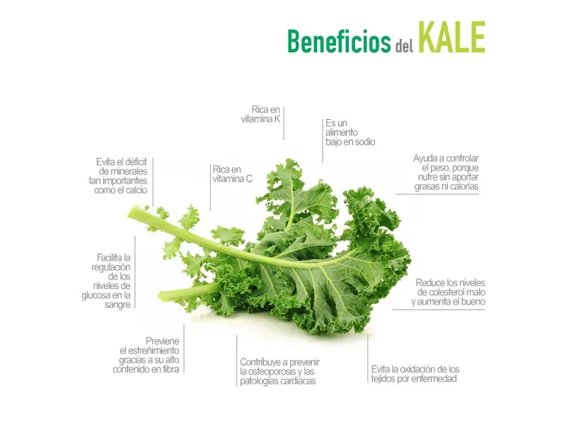 GTIN-7424676000073-03