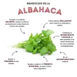 GTIN-7424676000110-03