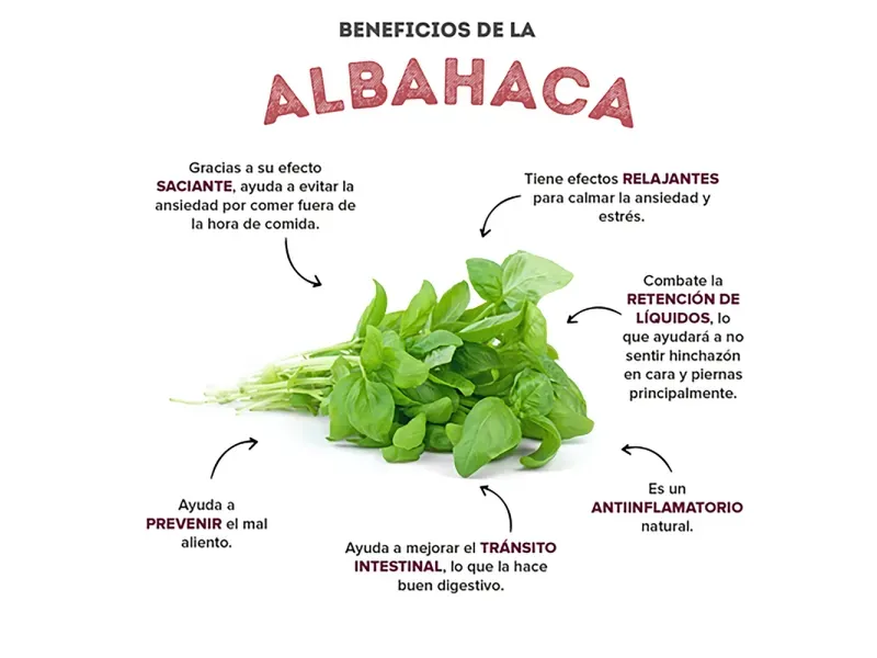 GTIN-7424676000110-03