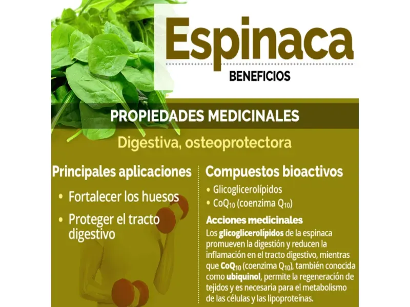 GTIN-7424676000080-03