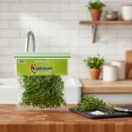 GTIN-7424676000172-04