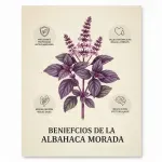 GTIN-7424676000127-03