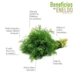 GTIN-7424676000165-03