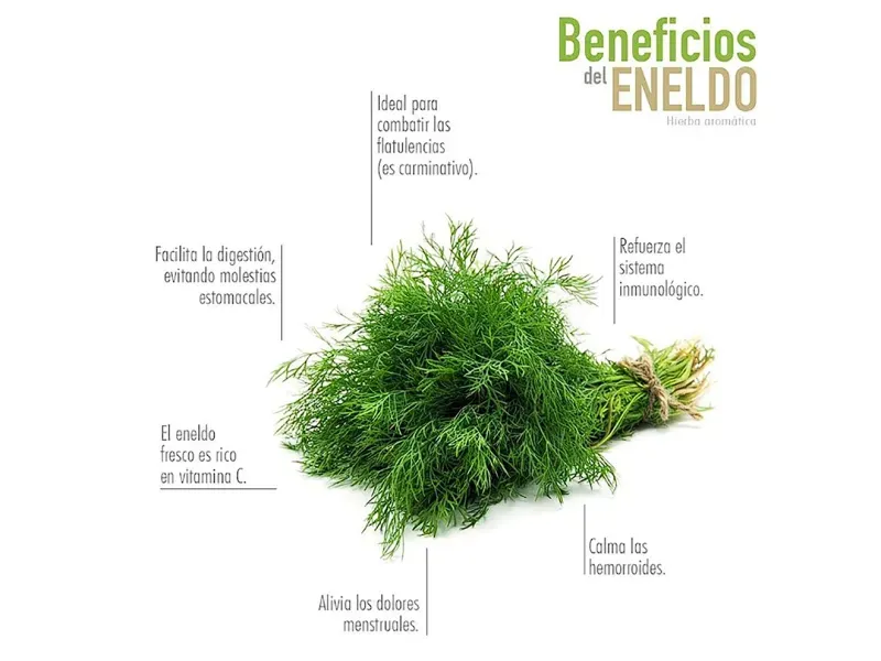 GTIN-7424676000165-03