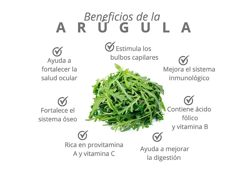 GTIN-7424676000219-03