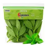 GTIN-7424676000196-01