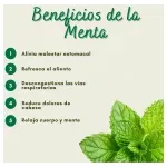 GTIN-7424676000196-03