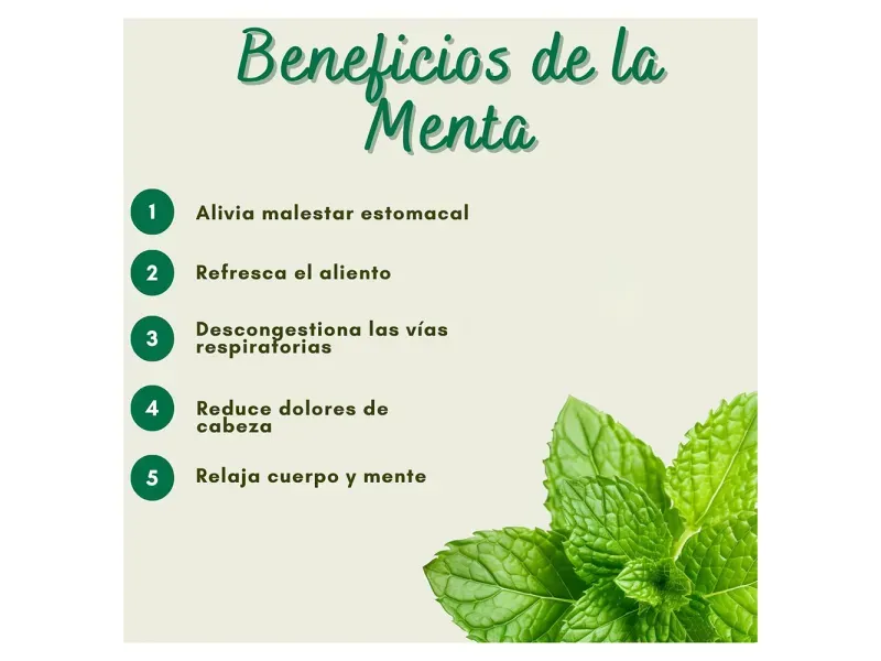 GTIN-7424676000196-03