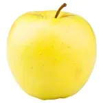 GTIN-0000000070690-02