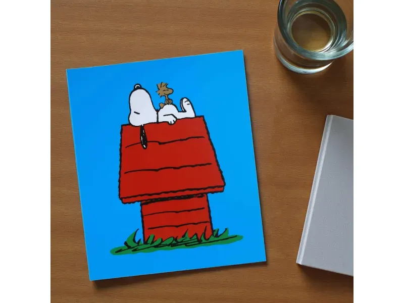 GTIN-6977900897280-05