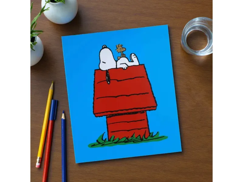 GTIN-6977900897280-06