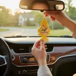 GTIN-0076171601056-02