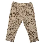 GTIN-0015209707537-01