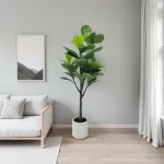 GTIN-6974221246629-05