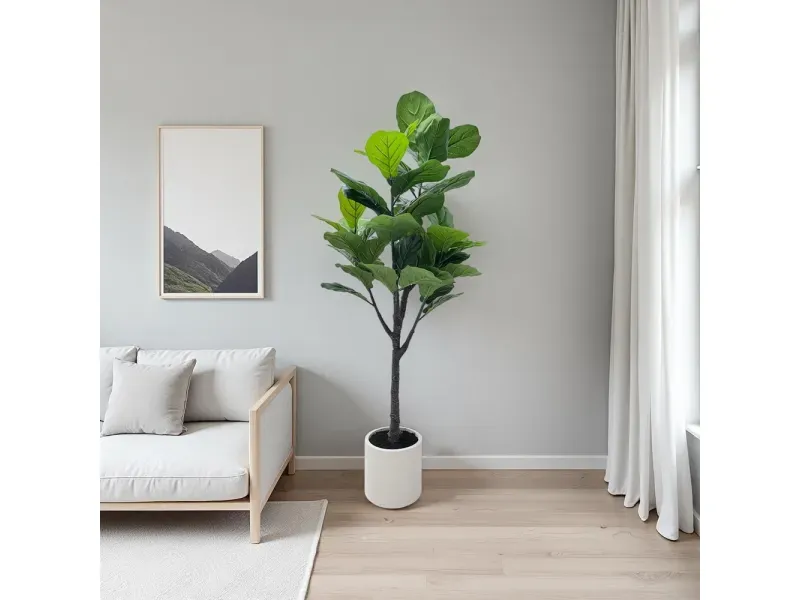 GTIN-6974221246629-05