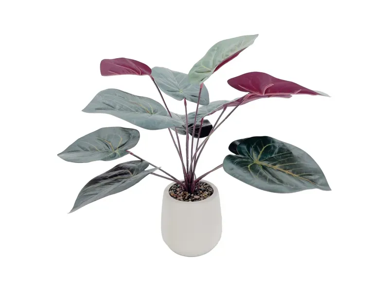 GTIN-6974221246575-01