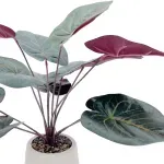 GTIN-6974221246575-02