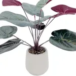 GTIN-6974221246575-03