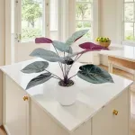 GTIN-6974221246575-04