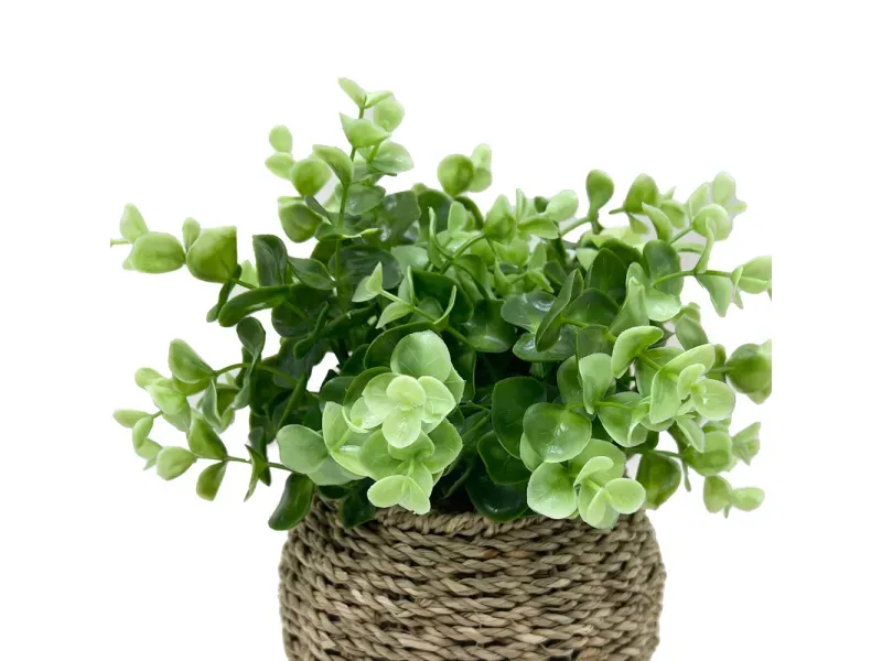 GTIN-6974221244380-02