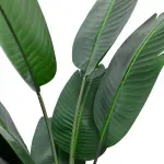 GTIN-6974221246636-02