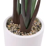 GTIN-6974221246636-03