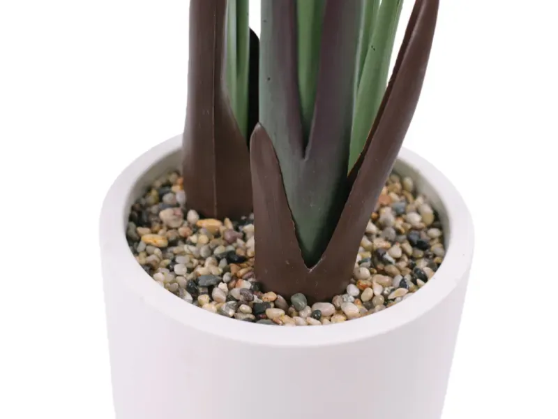 GTIN-6974221246636-03