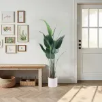 GTIN-6974221246636-05