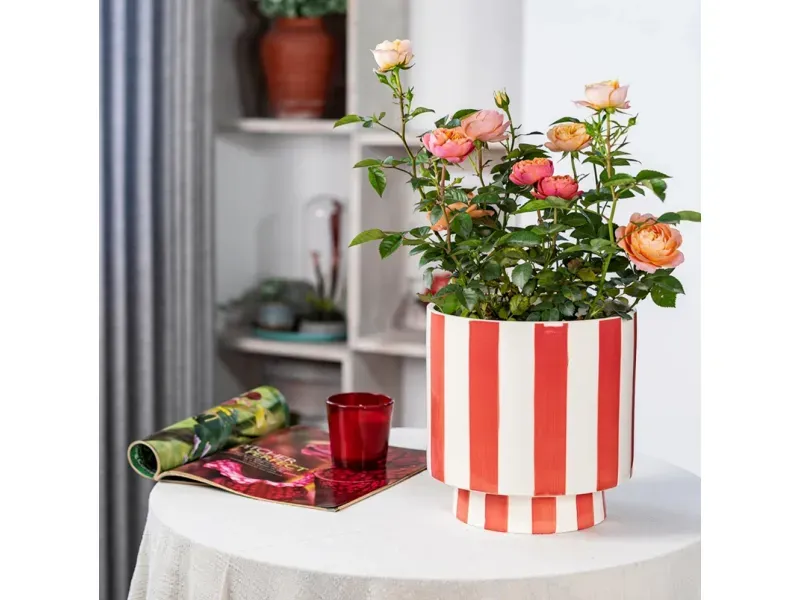 GTIN-6952397406412-06