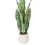 GTIN-6974221247527-02