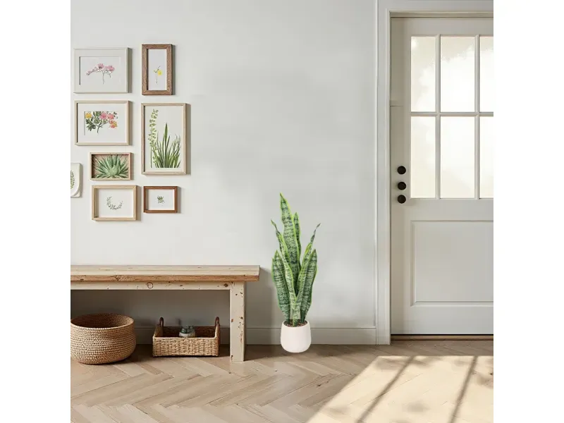 GTIN-6974221247527-05