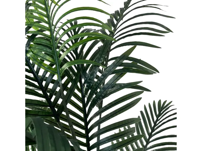 GTIN-6974221247497-02