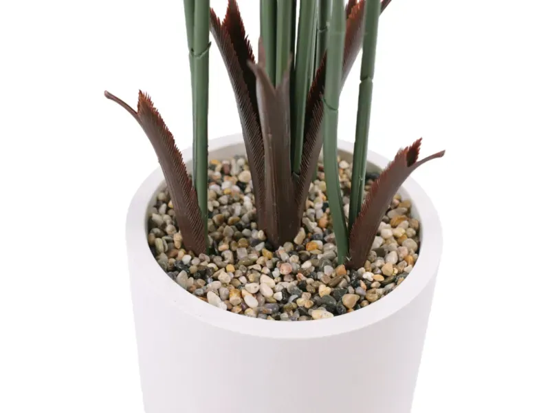 GTIN-6974221247497-03