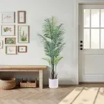 GTIN-6974221247497-05