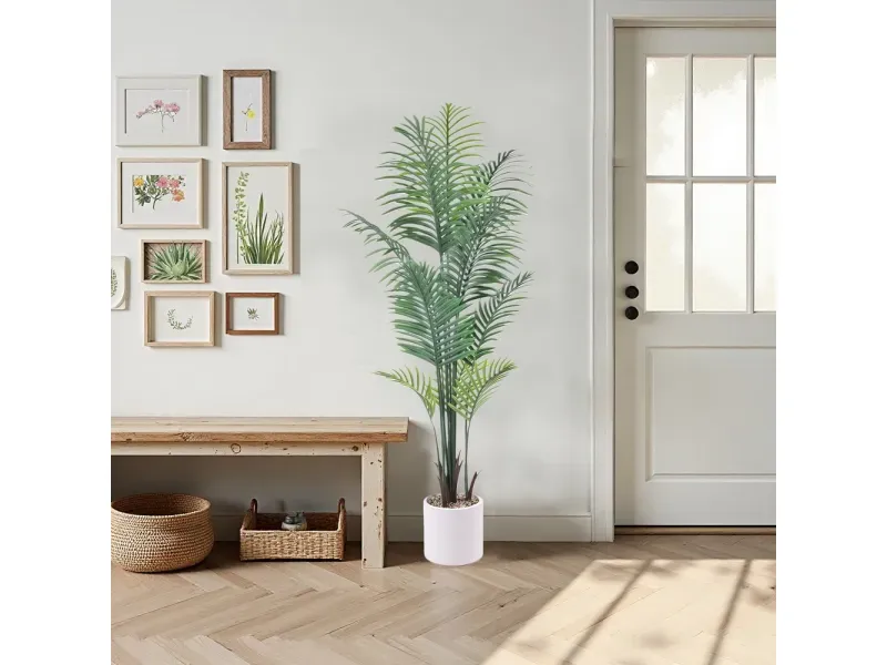 GTIN-6974221247497-05