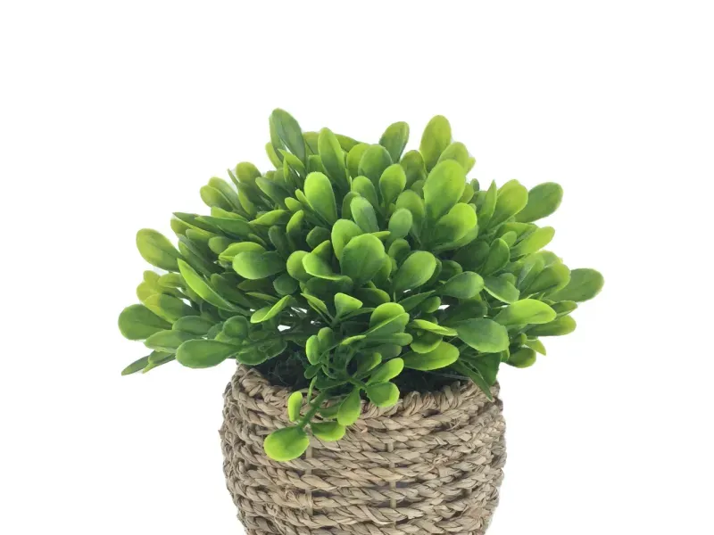 GTIN-6974221244373-02