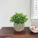 GTIN-6974221244373-04